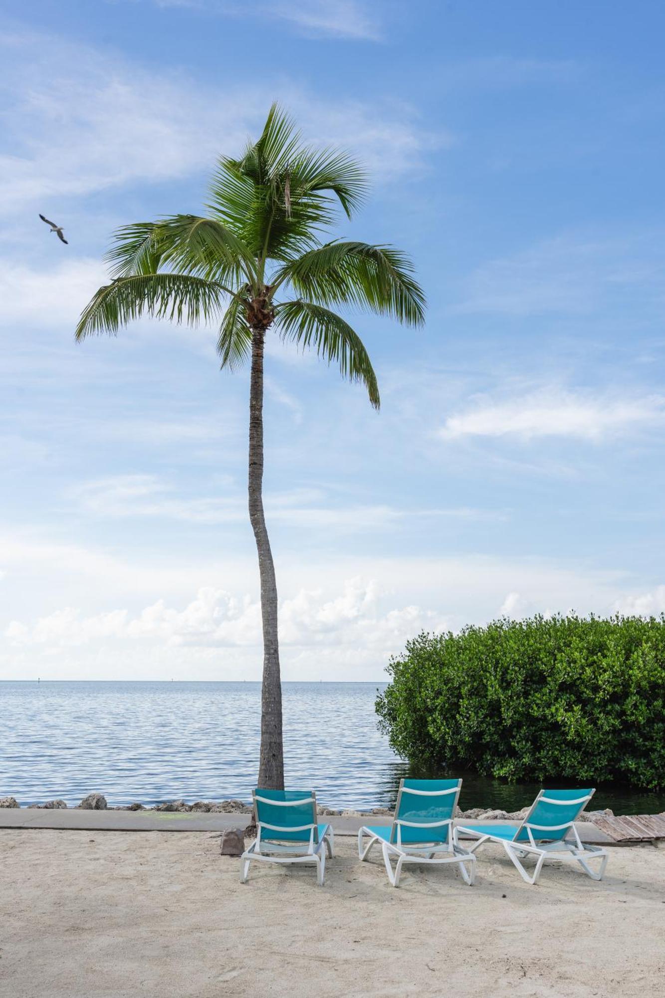 Fisher Inn Resort & Marina Islamorada Exterior foto